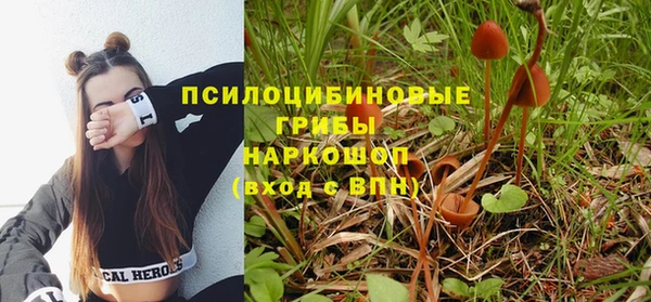 2c-b Верхнеуральск