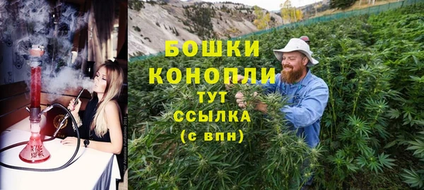 соль ск Верхний Тагил