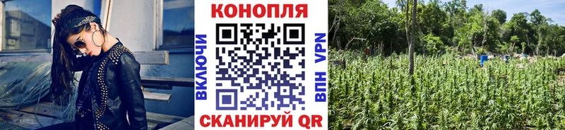 Купить где  Лабытнанги  Бошки марихуана семена 